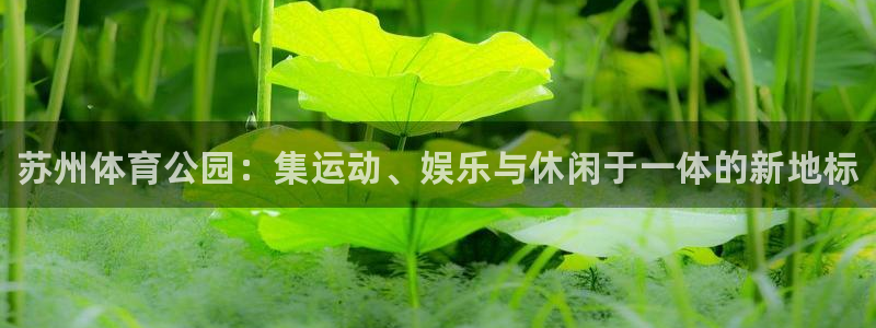 JJB竞技宝官方平台体育:苏州体育公园:集运动、娱乐与休闲于